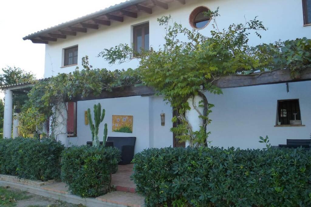 Villa Cortijo Con Encanto à Cullera Extérieur photo