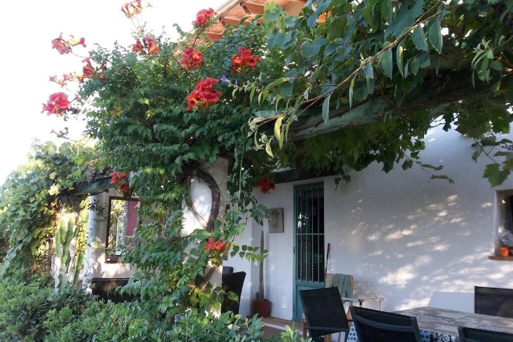 Villa Cortijo Con Encanto à Cullera Extérieur photo